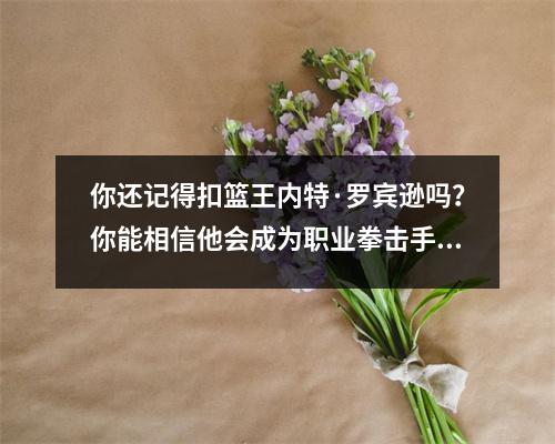 你还记得扣篮王内特·罗宾逊吗？你能相信他会成为职业拳击手吗？