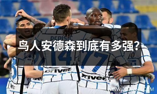 鸟人安德森到底有多强？