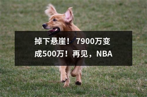掉下悬崖！ 7900万变成500万！再见，NBA
