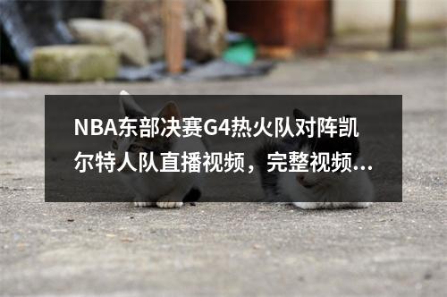 NBA东部决赛G4热火队对阵凯尔特人队直播视频，完整视频回放
