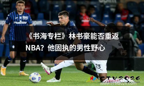 《书海专栏》林书豪能否重返NBA？他固执的男性野心