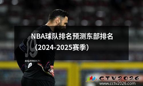 NBA球队排名预测东部排名（2024-2025赛季）