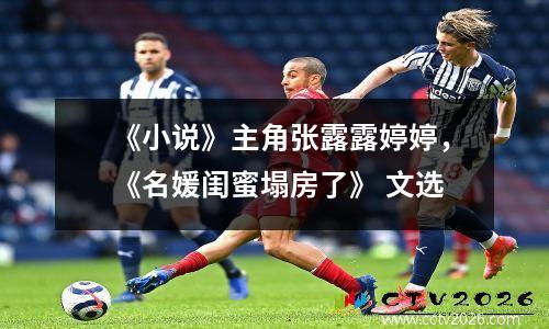 《小说》主角张露露婷婷，《名媛闺蜜塌房了》 文选