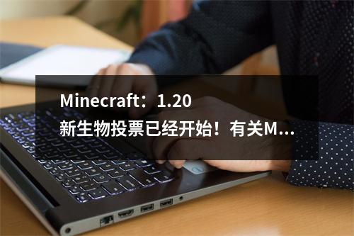 Minecraft：1.20 新生物投票已经开始！有关Minecraft Live 的详细信息