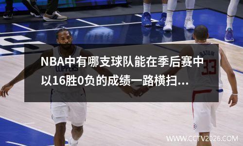 NBA中有哪支球队能在季后赛中以16胜0负的成绩一路横扫总冠军而不输一场？总共有多少个？