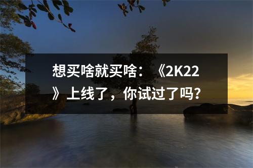 想买啥就买啥：《2K22》上线了，你试过了吗？