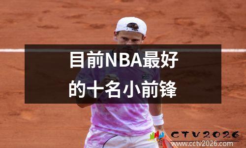 目前NBA最好的十名小前锋
