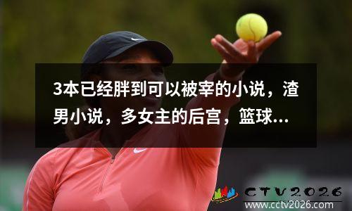 3本已经胖到可以被宰的小说，渣男小说，多女主的后宫，篮球小说