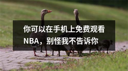你可以在手机上免费观看NBA，别怪我不告诉你