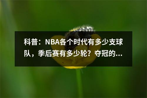 科普：NBA各个时代有多少支球队，季后赛有多少轮？夺冠的价值有多大？