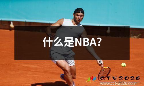 什么是NBA？