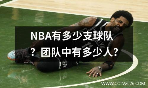 NBA有多少支球队？团队中有多少人？