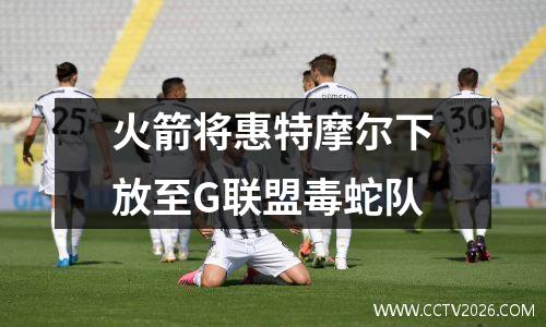 火箭将惠特摩尔下放至G联盟毒蛇队