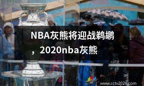 NBA灰熊将迎战鹈鹕，2020nba灰熊