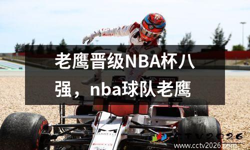老鹰晋级NBA杯八强，nba球队老鹰
