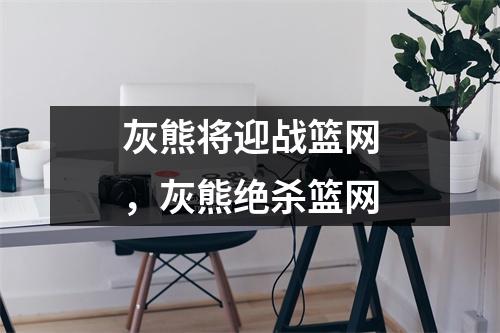 灰熊将迎战篮网，灰熊绝杀篮网