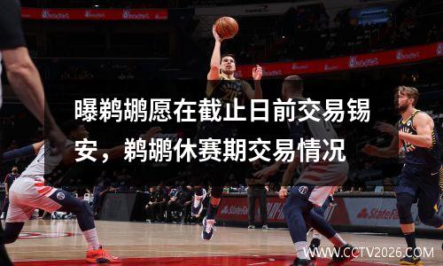 曝鹈鹕愿在截止日前交易锡安，鹈鹕休赛期交易情况