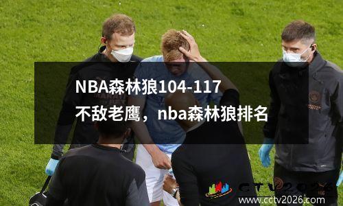 NBA森林狼104-117不敌老鹰，nba森林狼排名