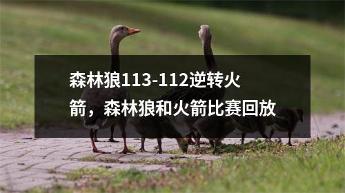 森林狼113-112逆转火箭，森林狼和火箭比赛回放