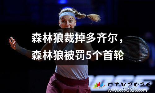 森林狼裁掉多齐尔，森林狼被罚5个首轮