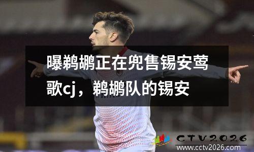 曝鹈鹕正在兜售锡安莺歌cj，鹈鹕队的锡安
