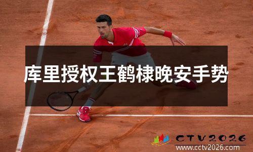 库里授权王鹤棣晚安手势