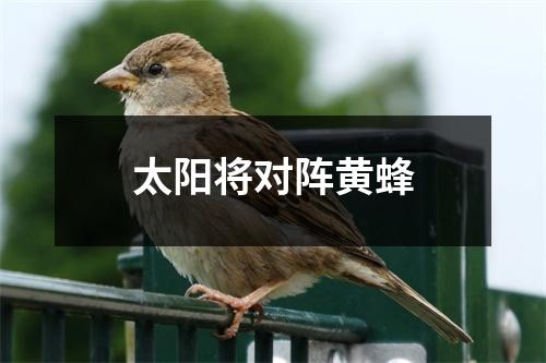 太阳将对阵黄蜂