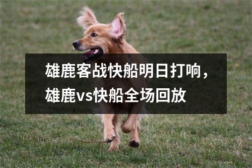雄鹿客战快船明日打响，雄鹿vs快船全场回放
