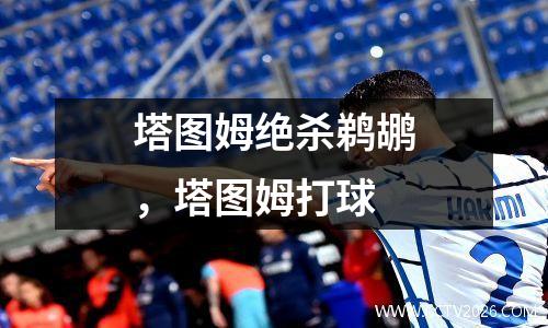 塔图姆绝杀鹈鹕，塔图姆打球