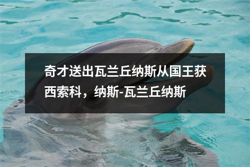 奇才送出瓦兰丘纳斯从国王获西索科，纳斯-瓦兰丘纳斯