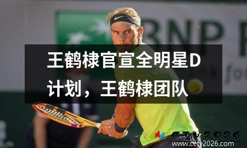 王鹤棣官宣全明星D计划，王鹤棣团队