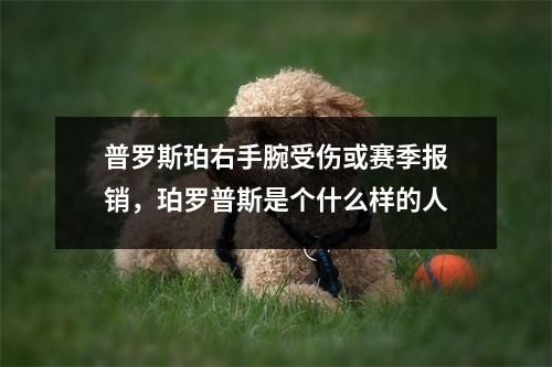 普罗斯珀右手腕受伤或赛季报销，珀罗普斯是个什么样的人