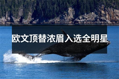欧文顶替浓眉入选全明星