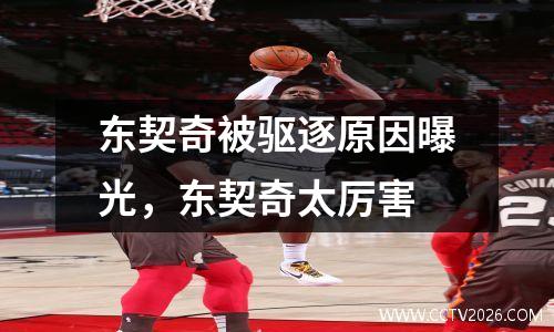 东契奇被驱逐原因曝光，东契奇太厉害