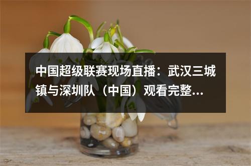 中国超级联赛现场直播：武汉三城镇与深圳队（中国）观看完整的高清