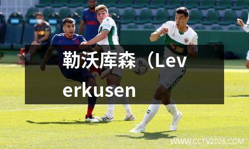 勒沃库森（Leverkusen