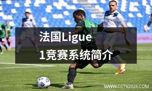 法国Ligue 1竞赛系统简介