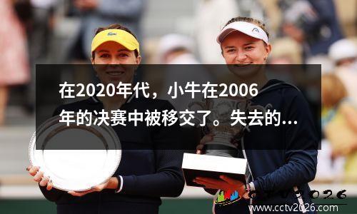 在2020年代，小牛在2006年的决赛中被移交了。失去的原因是什么？德克表现如何？