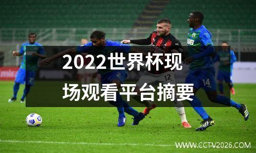 2022世界杯现场观看平台摘要