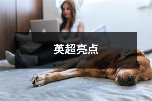 英超亮点