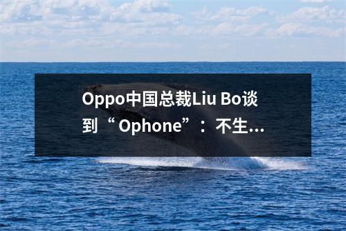 Oppo中国总裁Liu Bo谈到“ Ophone”：不生产好产品是没有用的。