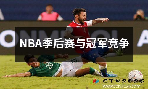 NBA季后赛与冠军竞争