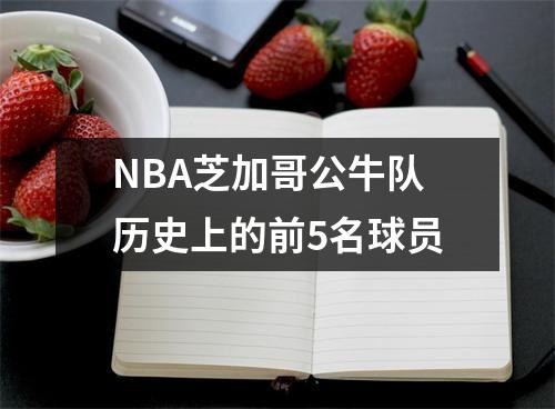 NBA芝加哥公牛队历史上的前5名球员