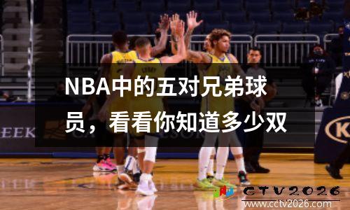 NBA中的五对兄弟球员，看看你知道多少双