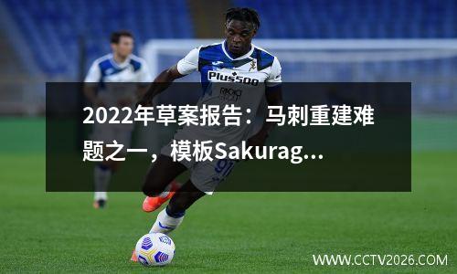 2022年草案报告：马刺重建难题之一，模板Sakuragi Hanadao的Sohan