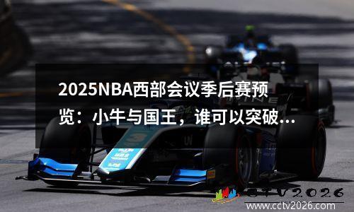 2025NBA西部会议季后赛预览：小牛与国王，谁可以突破围攻？