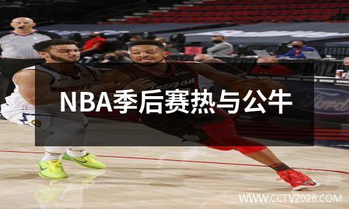 NBA季后赛热与公牛