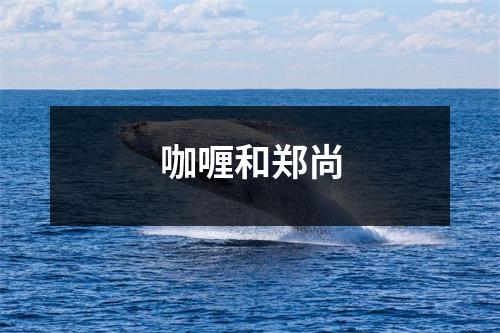 咖喱和郑尚