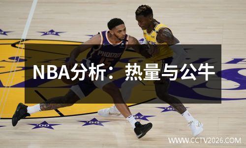 NBA分析：热量与公牛