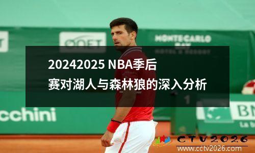 20242025 NBA季后赛对湖人与森林狼的深入分析